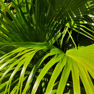 91丨推特丨白浆㊙️
